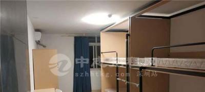 藍領公寓租金多少