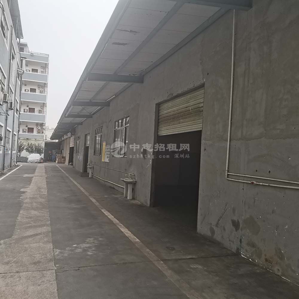 中志創意產業園I棟單層鋼構廠房295平米