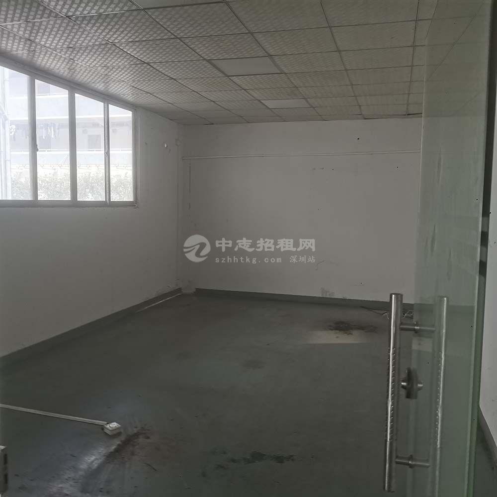 中志創意產業園I棟單層鋼構廠房295平米