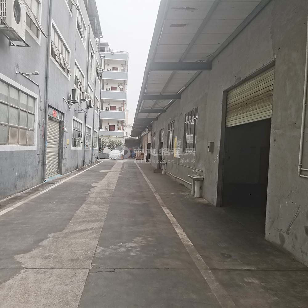 中志創意產業園I棟單層鋼構廠房295平米