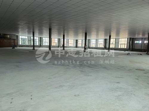 廠房跨度一般是多少