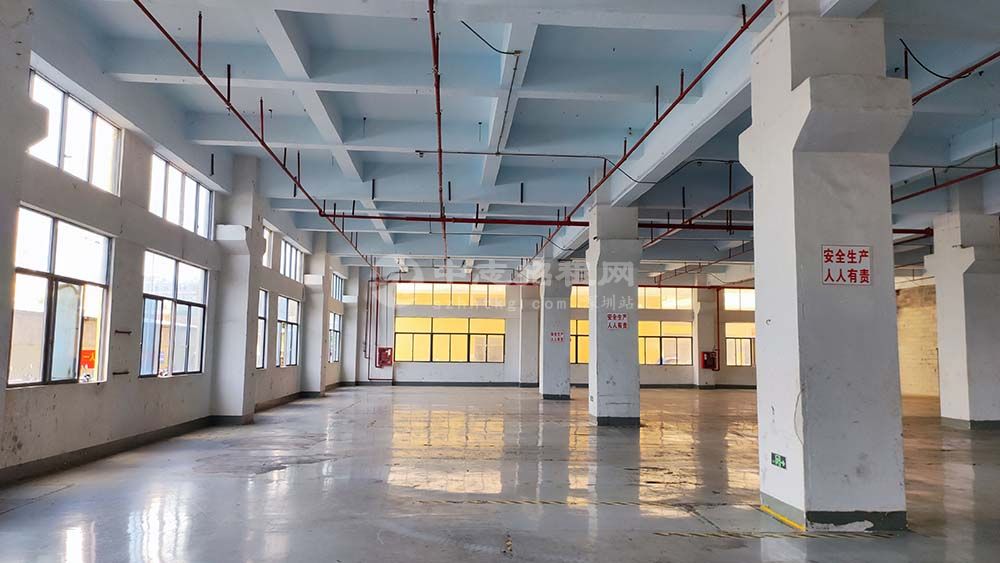 公明上村3200平方一樓廠房出租