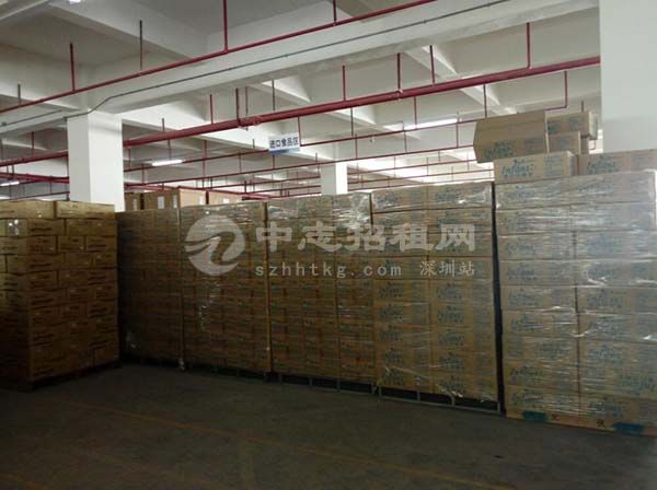 深圳臨時倉庫哪里可以租