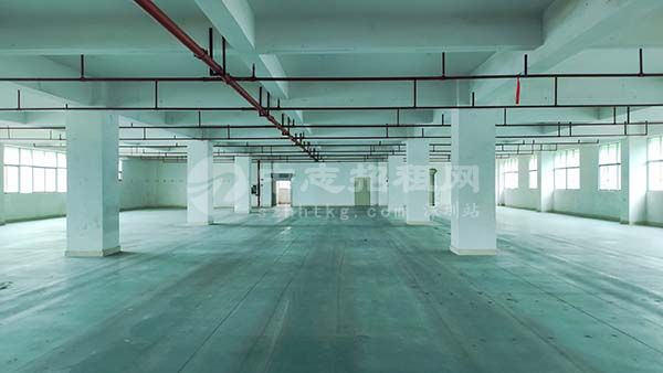 深圳1000平的廠房一年租金大概是多少